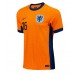 Niederlande Joey Veerman #16 Fußballbekleidung Heimtrikot EM 2024 Kurzarm